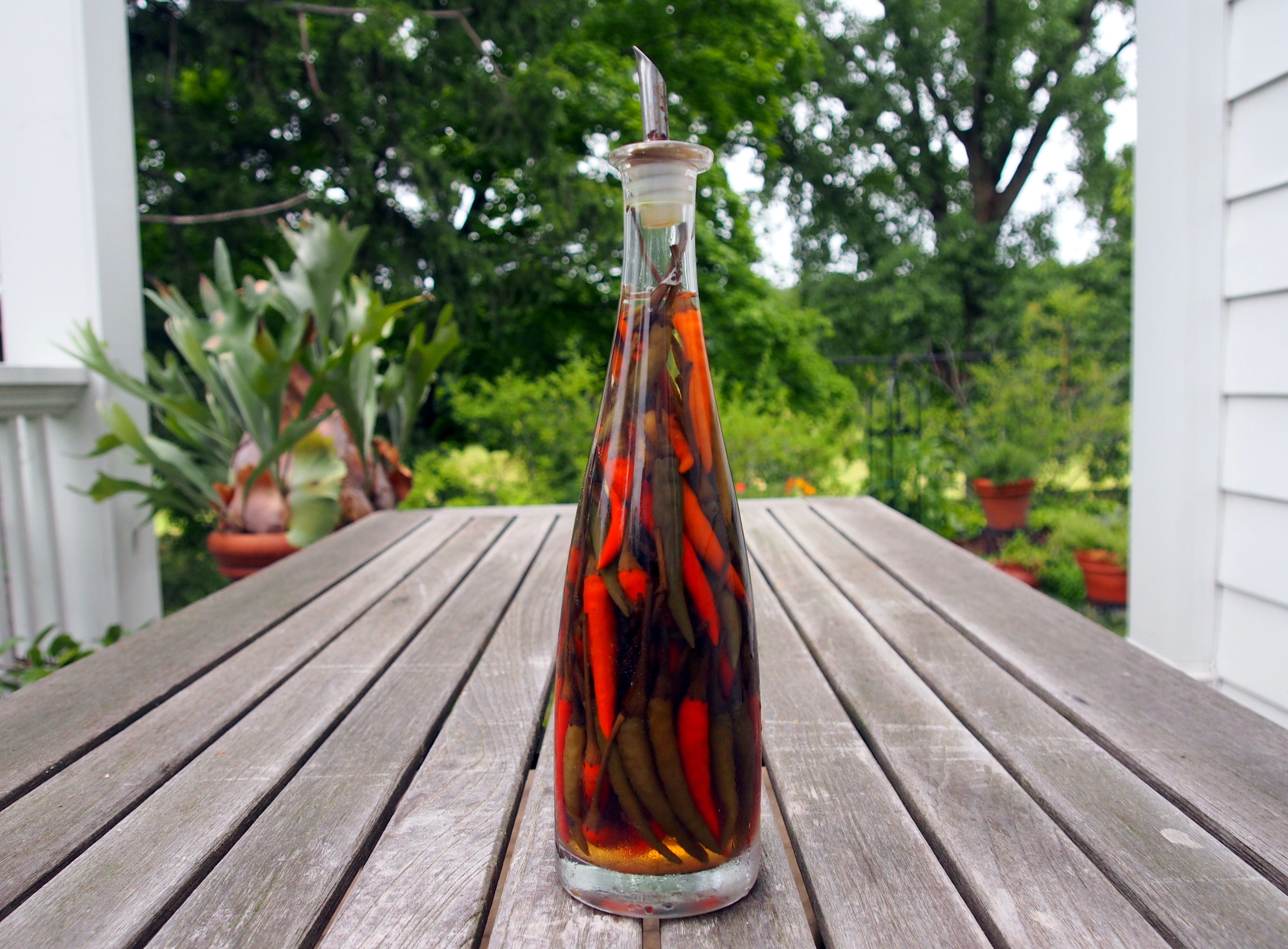 HOT PEPPER VINEGAR – The Weathered Grey Table